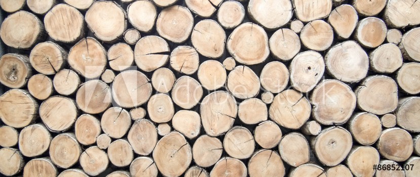 Bild på wallpaper wood log